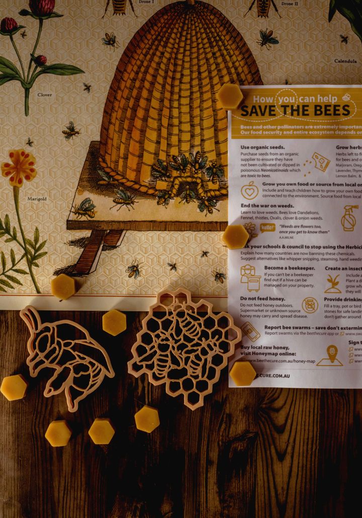 Sale Teddy Bear Bee &amp; Honey Comb Eco Cutter Set
