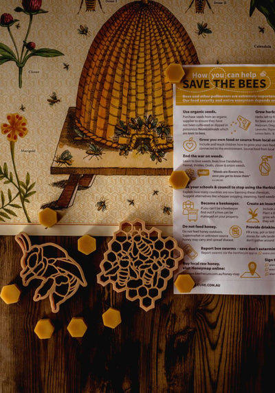 Sale Teddy Bear Bee & Honey Comb Eco Cutter Set