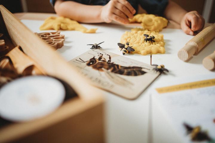 Sale Teddy Bear Bee &amp; Honey Comb Eco Cutter Set