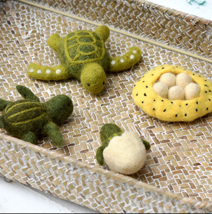 Felt Lifecycle of a Green Sea Turtle Toy