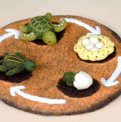 Felt Lifecycle of a Green Sea Turtle Toy