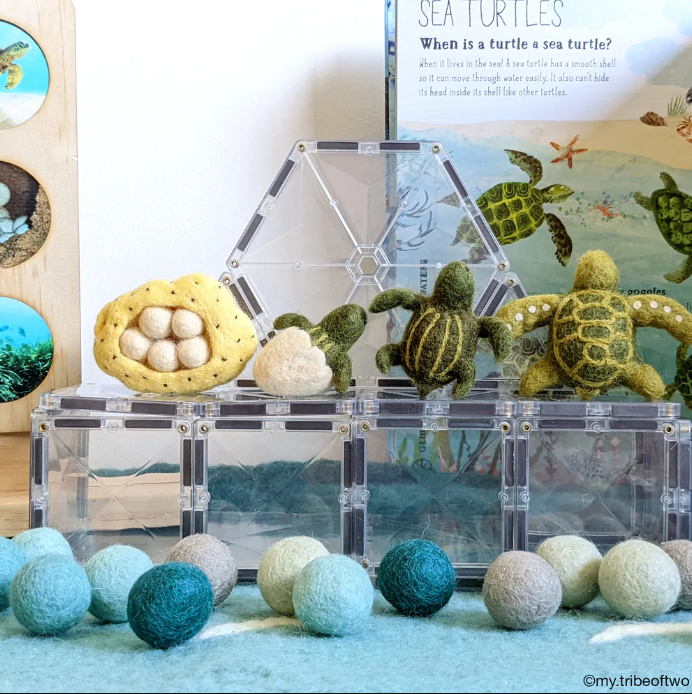 Felt Lifecycle of a Green Sea Turtle Toy