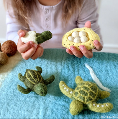 Felt Lifecycle of a Green Sea Turtle Toy