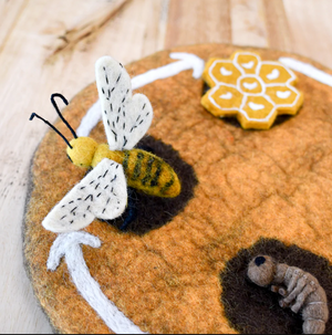 Honey Bee Life Cycle