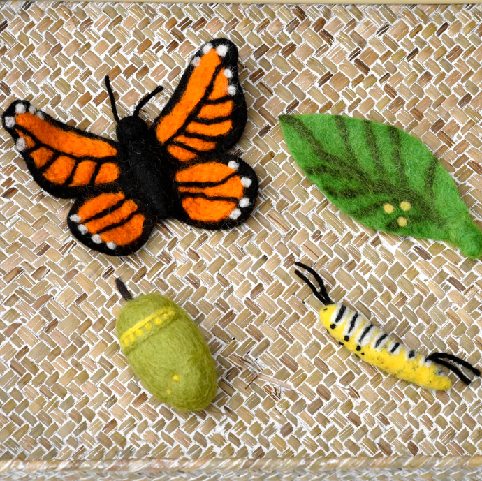 Felt Lifecycle of a Monarch Butterfly