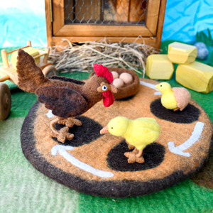 Chicken Life Cycle