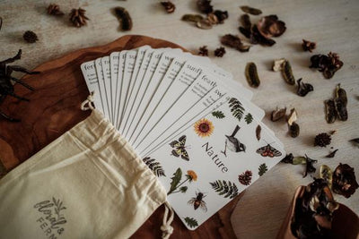 Floral & Fern Nature Facts Flash Cards