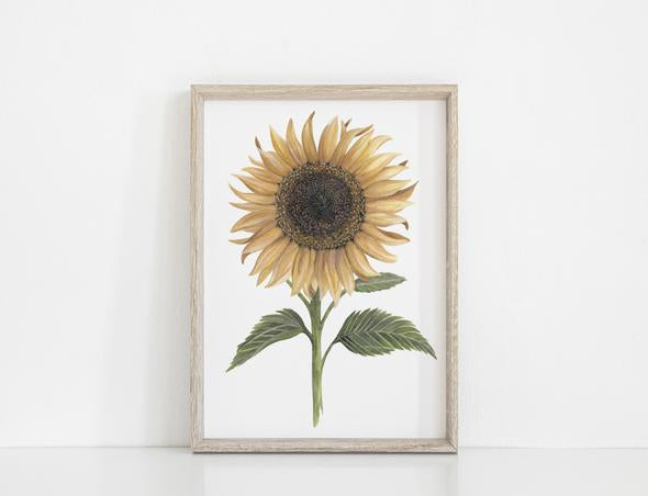 Sale Floral & Fern Sunflower Print