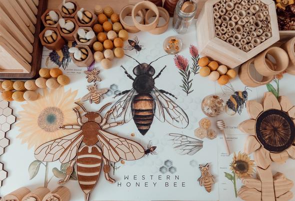 Sale Floral & Fern Western Honey Bee Print