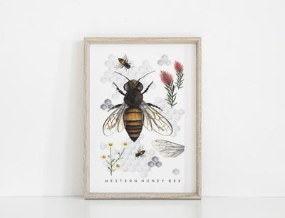 Sale Floral & Fern Western Honey Bee Print