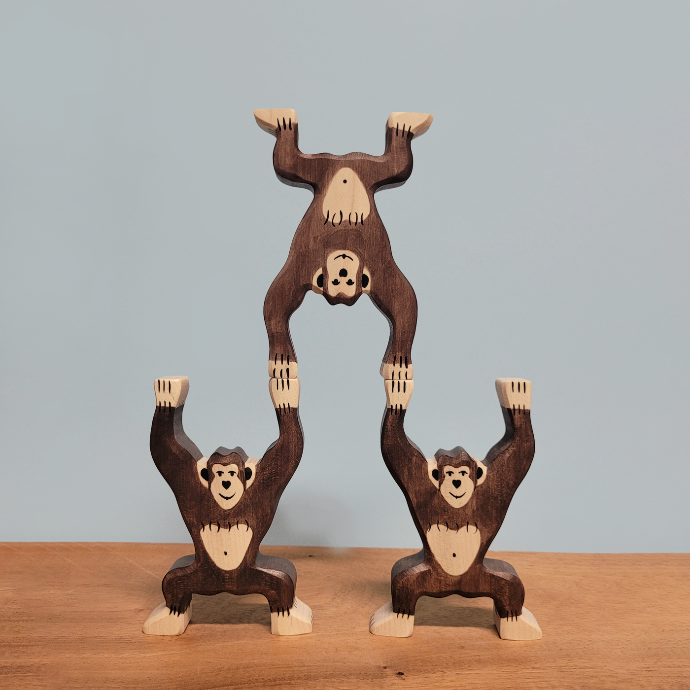 Holztiger Chimpanzee, standing