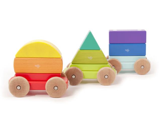 Tegu Magnetic Shape Train, Rainbow