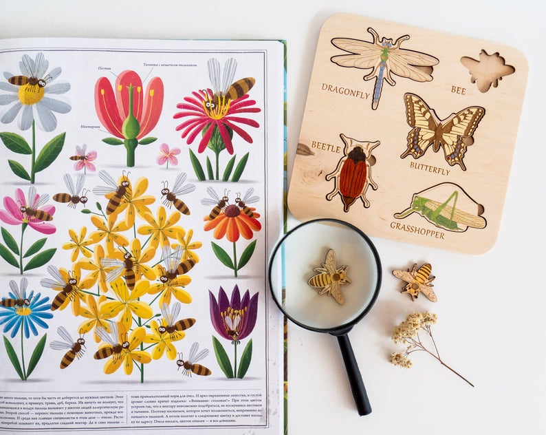 Montessori Insect Puzzle