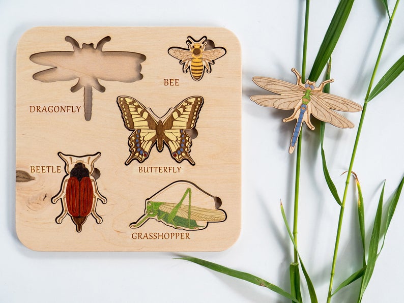 Montessori Insect Puzzle