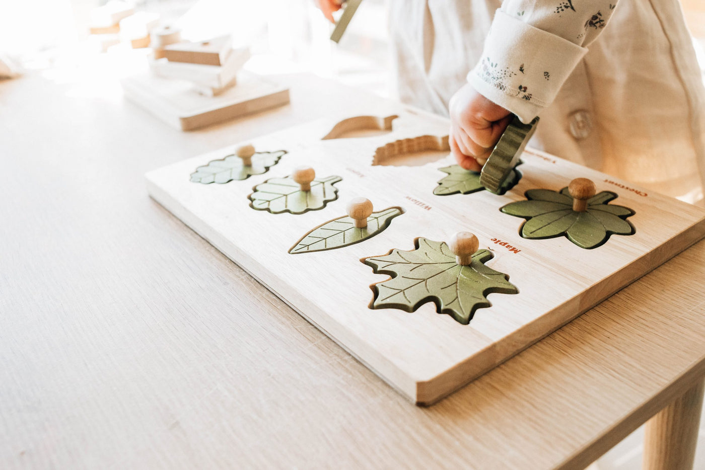 Pre-Order Q Toys Montessori Leaf Puzzle (Ships in February)