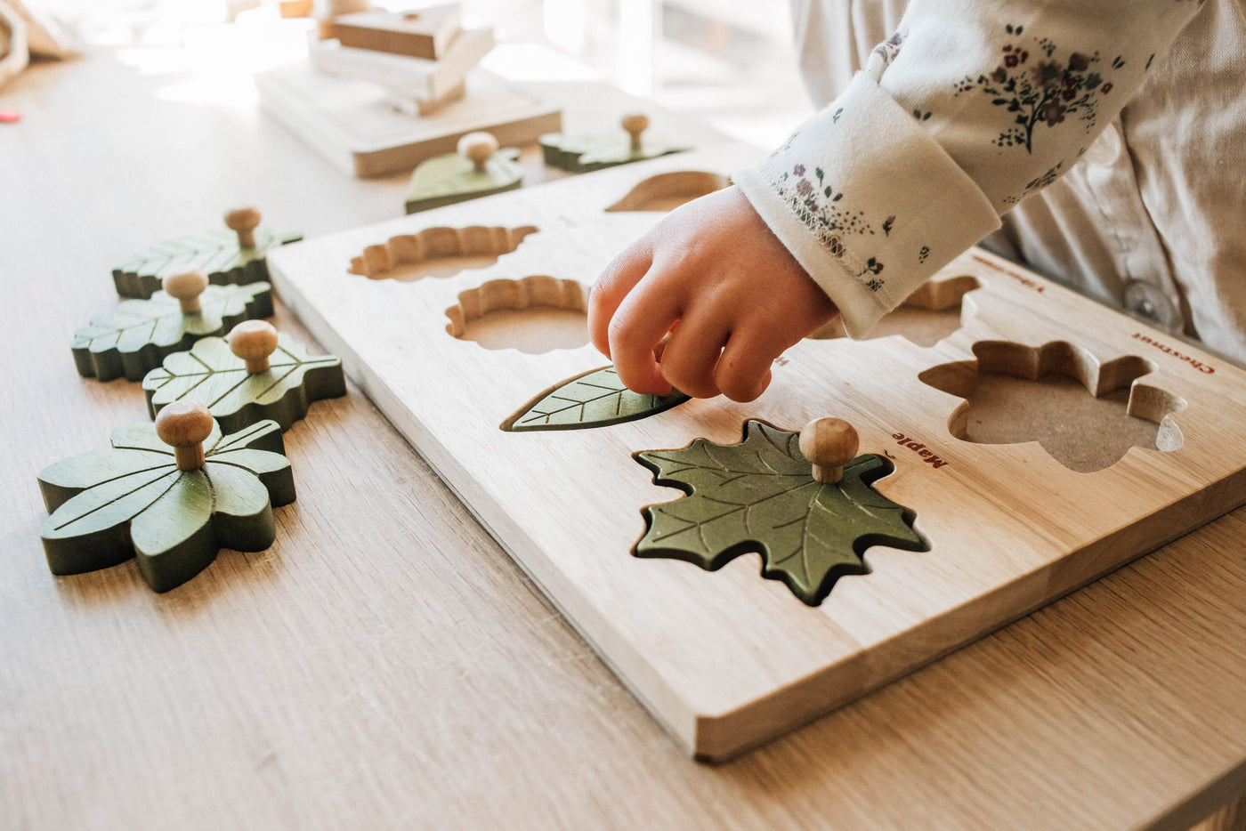 Pre-Order Q Toys Montessori Leaf Puzzle (Ships in February)