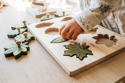 Q Toys Montessori Leaf Puzzle