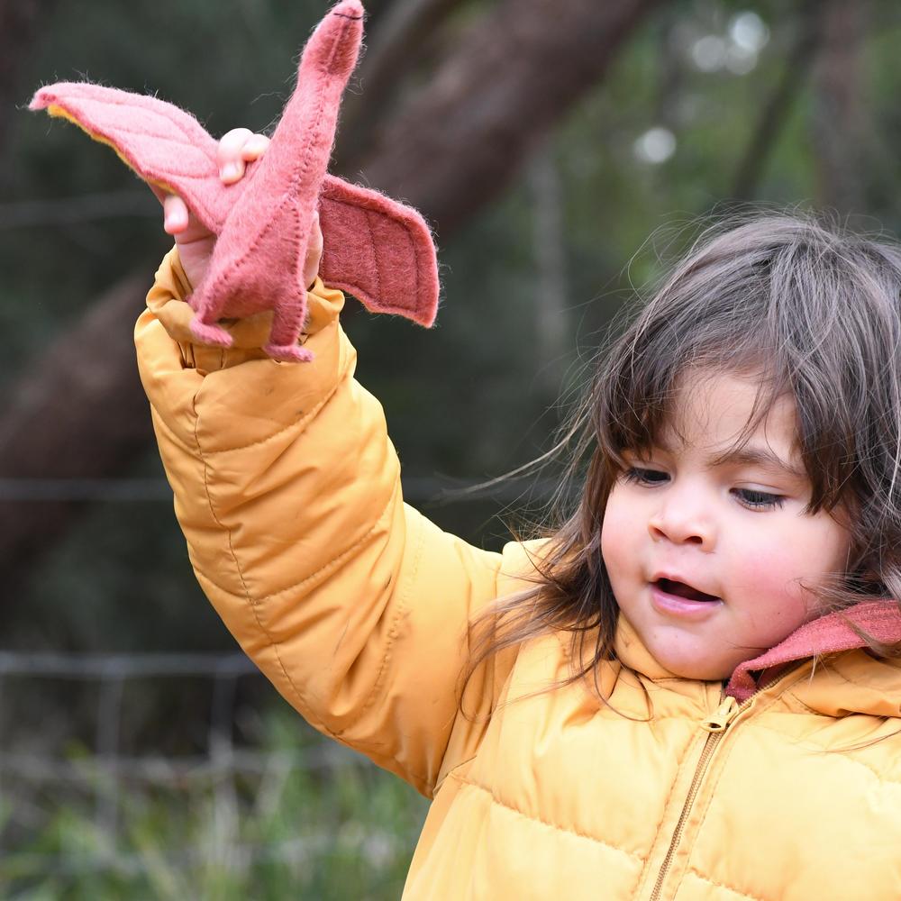Felt Pteranodon Toy