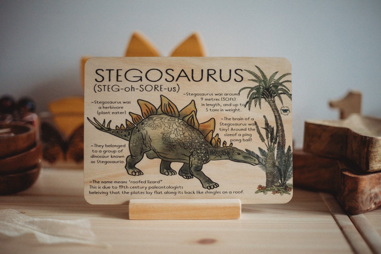 Sale Stegosaurus Dino Fact Tile