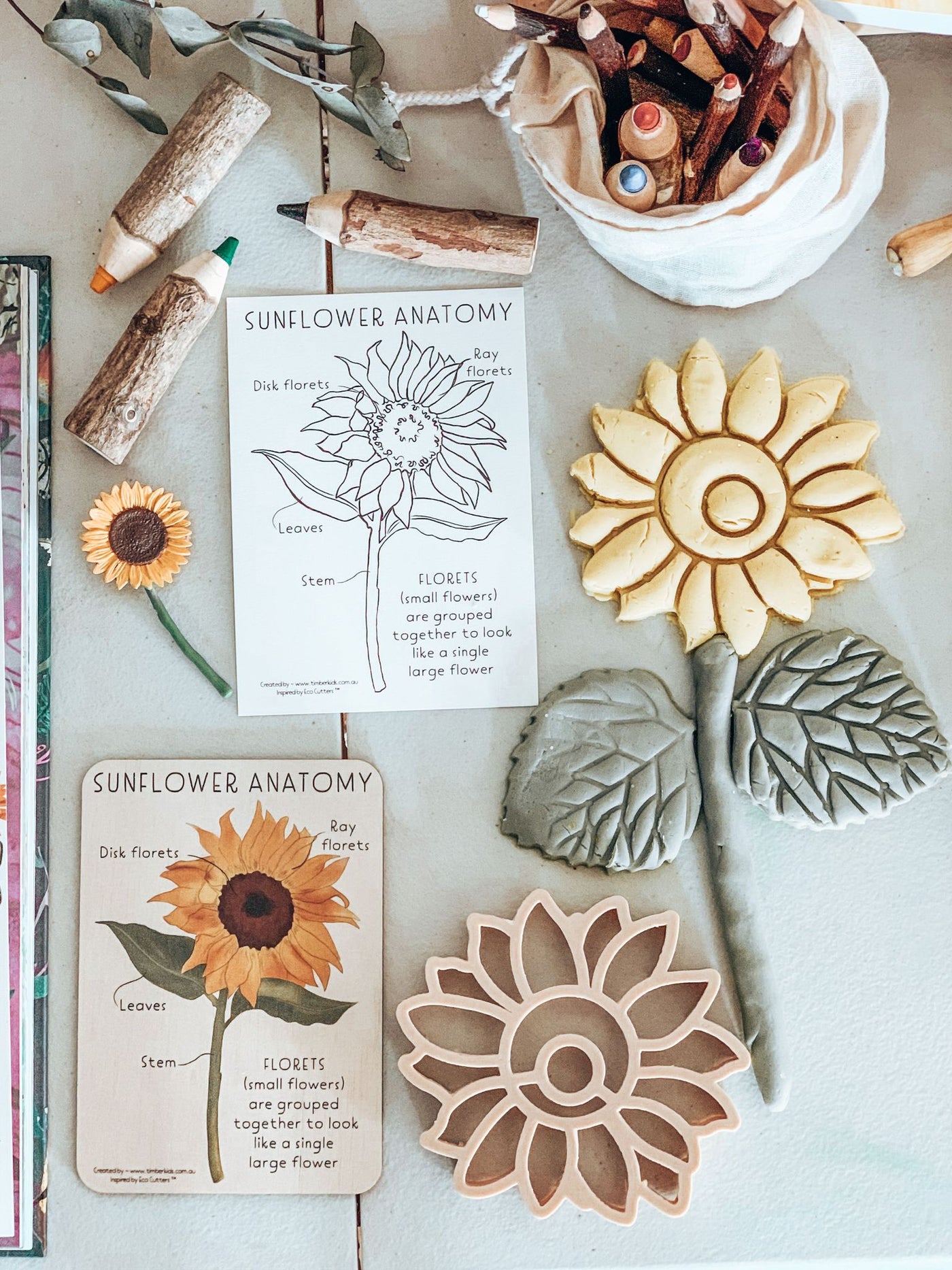 Sunflower Pack - Timber Tile, Color in Card + Sunflower Eco Cutter