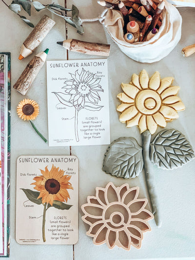 Sunflower Pack - Timber Tile, Color in Card + Sunflower Eco Cutter