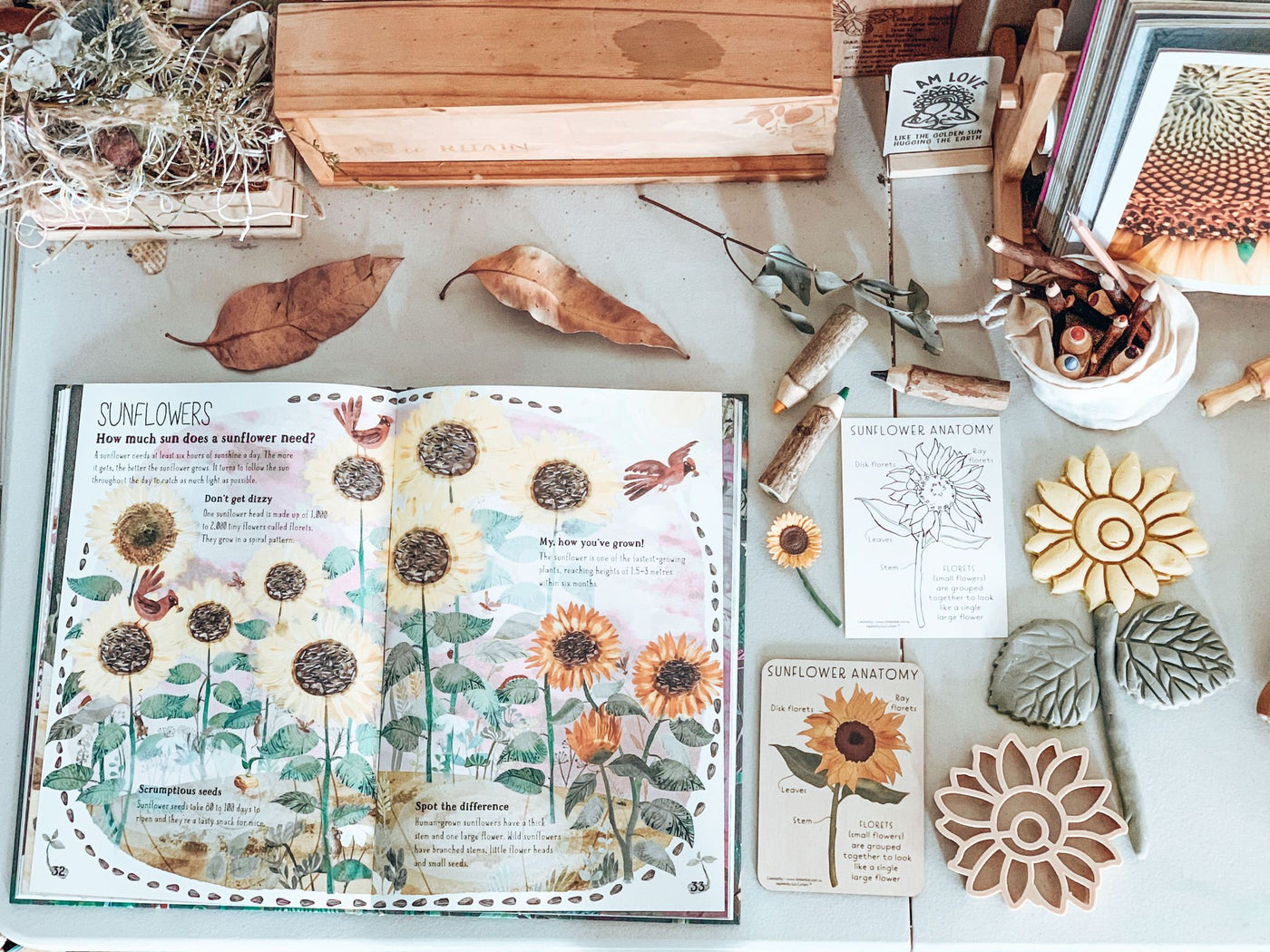 Sunflower Pack - Timber Tile, Color in Card + Sunflower Eco Cutter