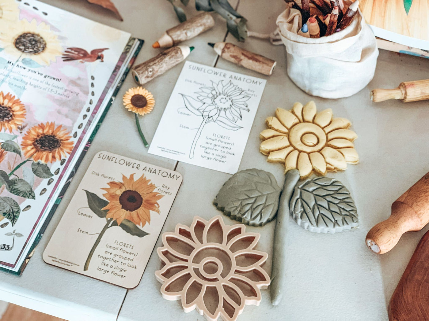 Sunflower Pack - Timber Tile, Color in Card + Sunflower Eco Cutter