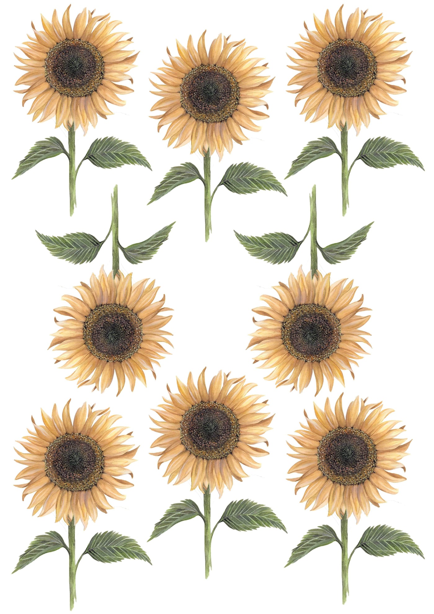 Sale Floral & Fern Sunflower Wall Decals