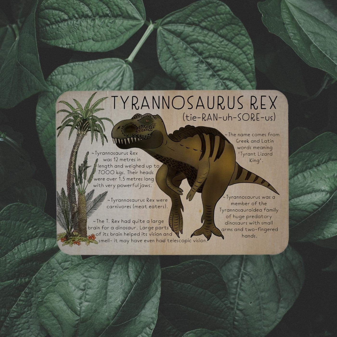 Sale TRex Dino Fact Tile