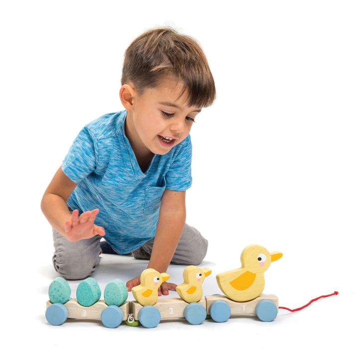 Sale Tender Leaf Toys Pull Along Ducks