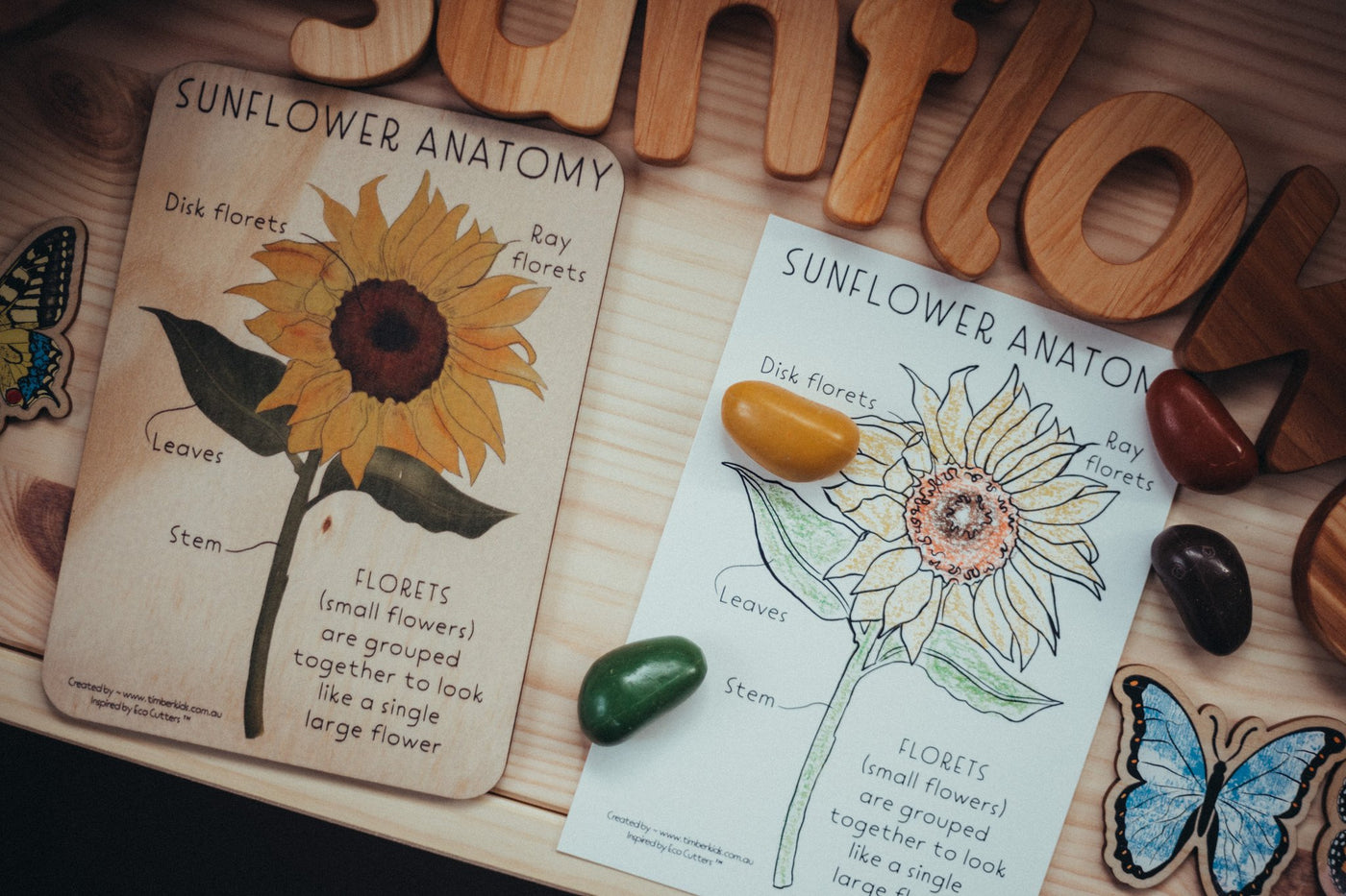 Sunflower Pack - Timber Tile, Color in Card + Sunflower Eco Cutter