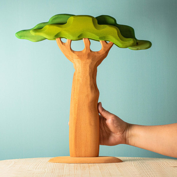 Sale Bumbu Baobab Tree, Tall