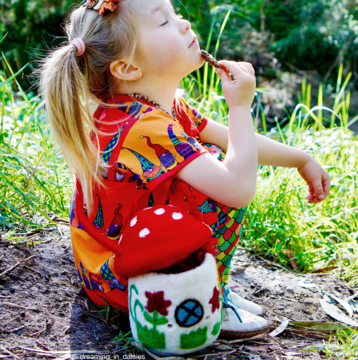 Felt Toadstool Fairy House Bag