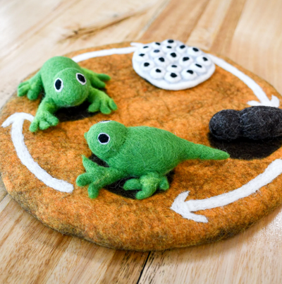Felt Lifecycle of a Toy Frog