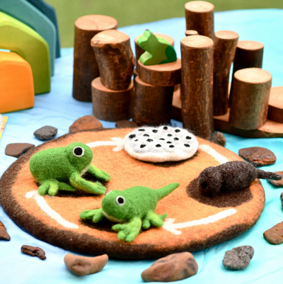 Felt Lifecycle of a Toy Frog