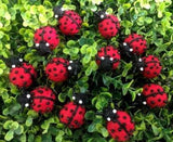 Felt Ladybug. 1 pc · view 2