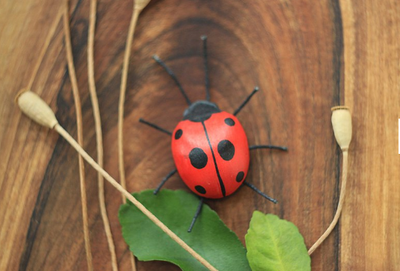 Wooden Ladybug