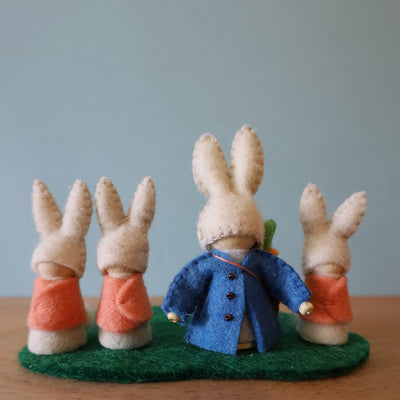 Peter Rabbit Gnomes