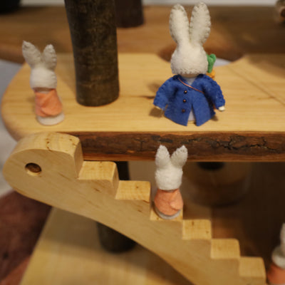 Peter Rabbit Gnomes