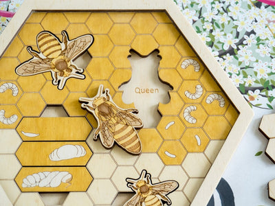 bee hive puzzle